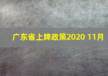 广东省上牌政策2020 11月